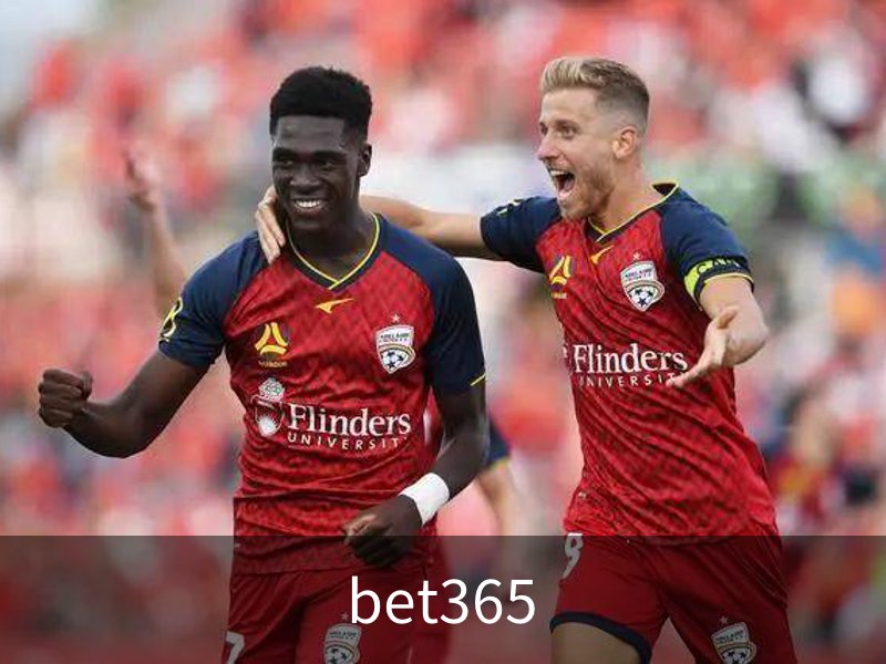 了解bet365